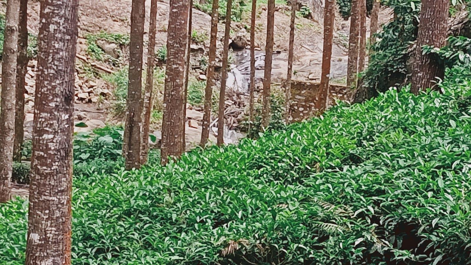 WhatsApp-Image-2023-05-09-at-3.24.05-PM-1