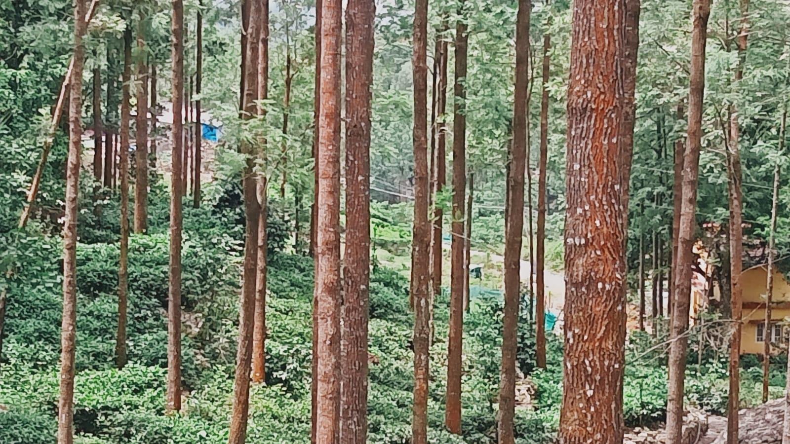 WhatsApp-Image-2023-05-09-at-3.24.06-PM