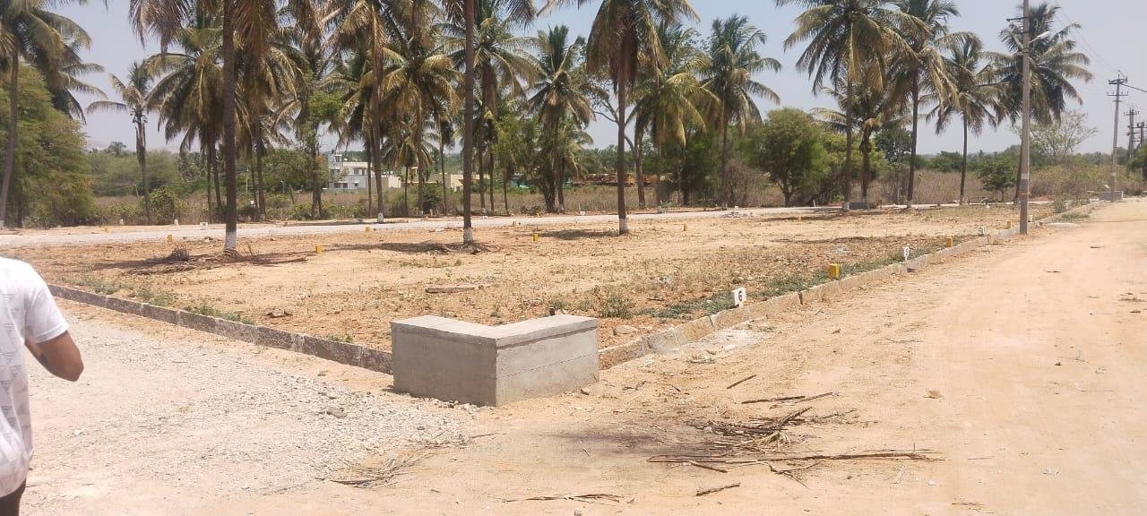 WhatsApp-Image-2023-05-10-at-1.03.47-PM-1