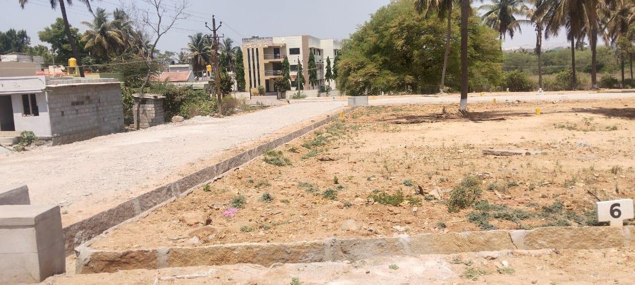 WhatsApp-Image-2023-05-10-at-1.03.47-PM