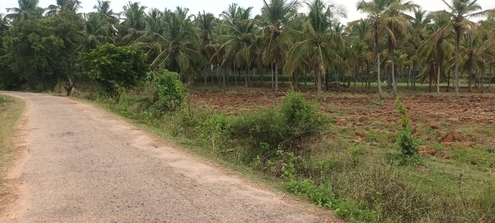 WhatsApp-Image-2023-05-10-at-12.01.22-PM-1