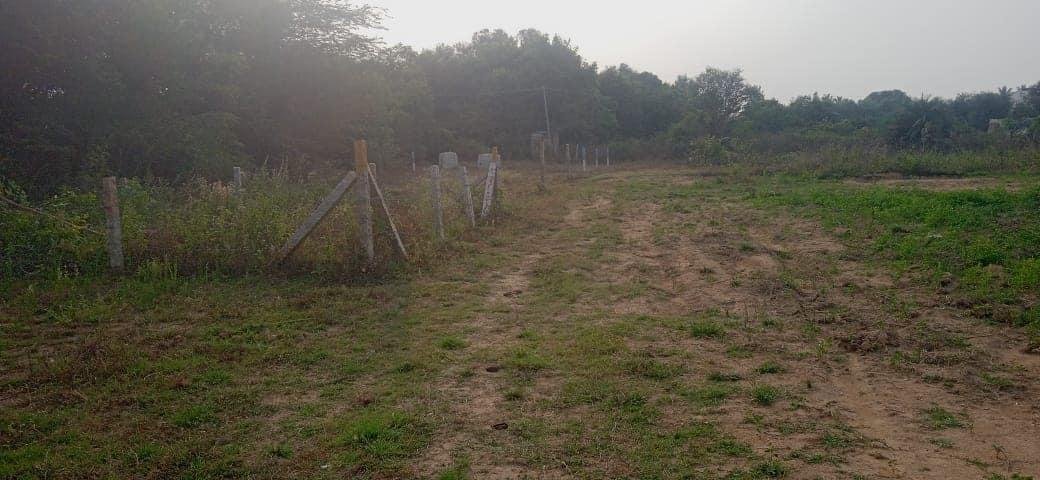 WhatsApp-Image-2023-05-10-at-2.40.07-PM-1