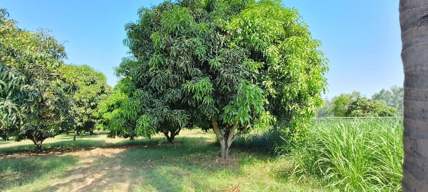 WhatsApp-Image-2023-05-10-at-5.39.05-PM