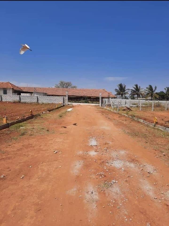 WhatsApp-Image-2023-05-13-at-10.20.17-AM