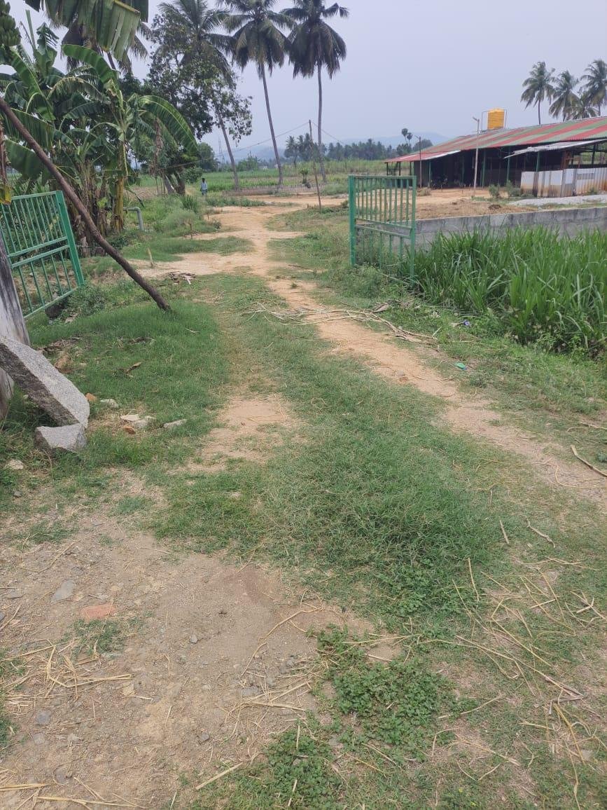 WhatsApp-Image-2023-05-15-at-12.14.36-PM