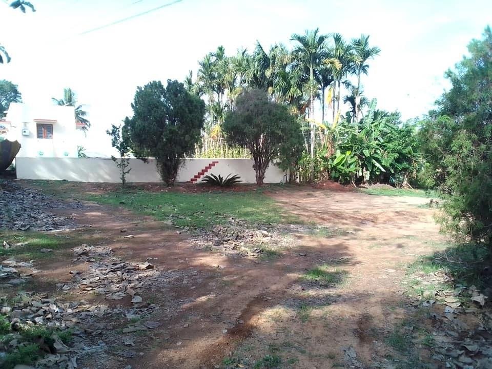 WhatsApp-Image-2023-05-16-at-10.33.02-AM