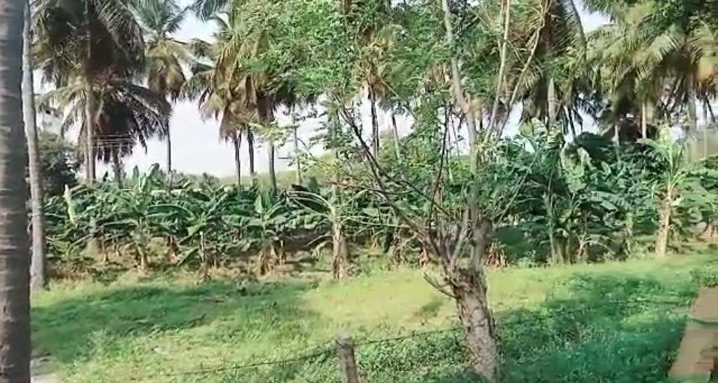 WhatsApp-Image-2023-05-16-at-5.35.25-PM