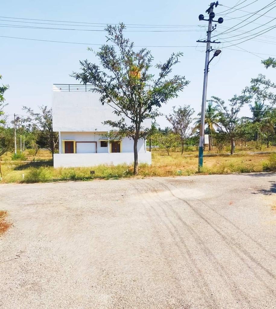 WhatsApp-Image-2023-05-17-at-12.10.20-PM-1