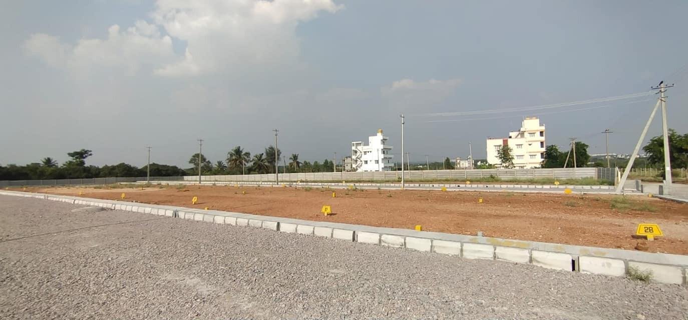 WhatsApp-Image-2023-05-17-at-12.11.57-PM