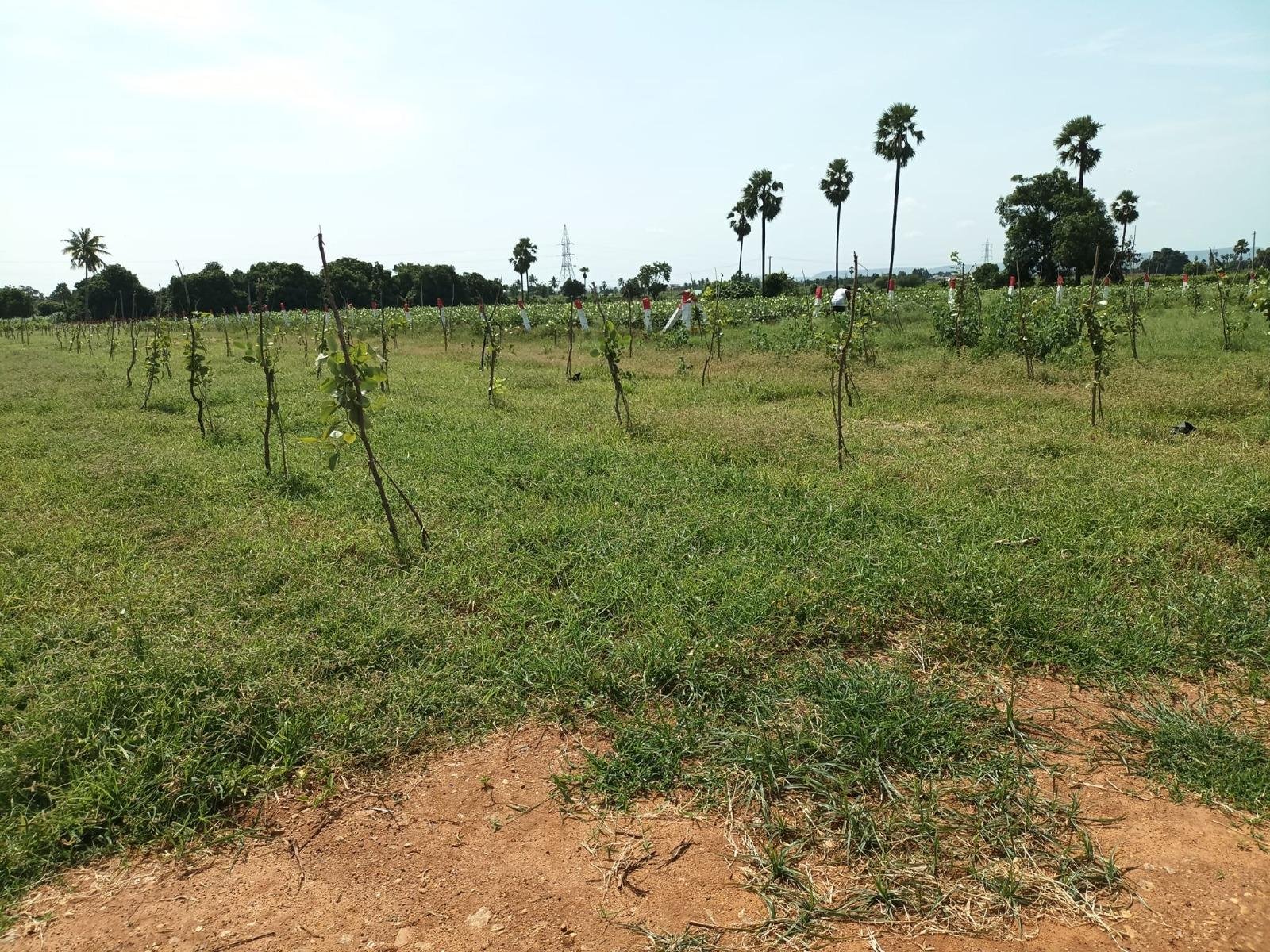 WhatsApp-Image-2023-05-17-at-12.13.51-PM