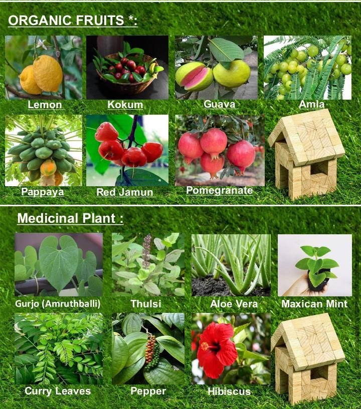 WhatsApp-Image-2023-05-17-at-4.00.26-PM