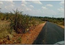 WhatsApp-Image-2023-05-18-at-4.17.26-PM