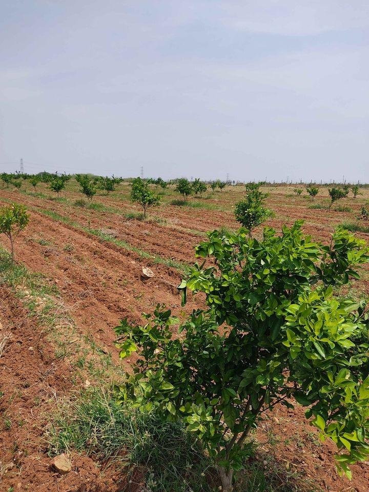 WhatsApp-Image-2023-05-18-at-4.58.59-PM