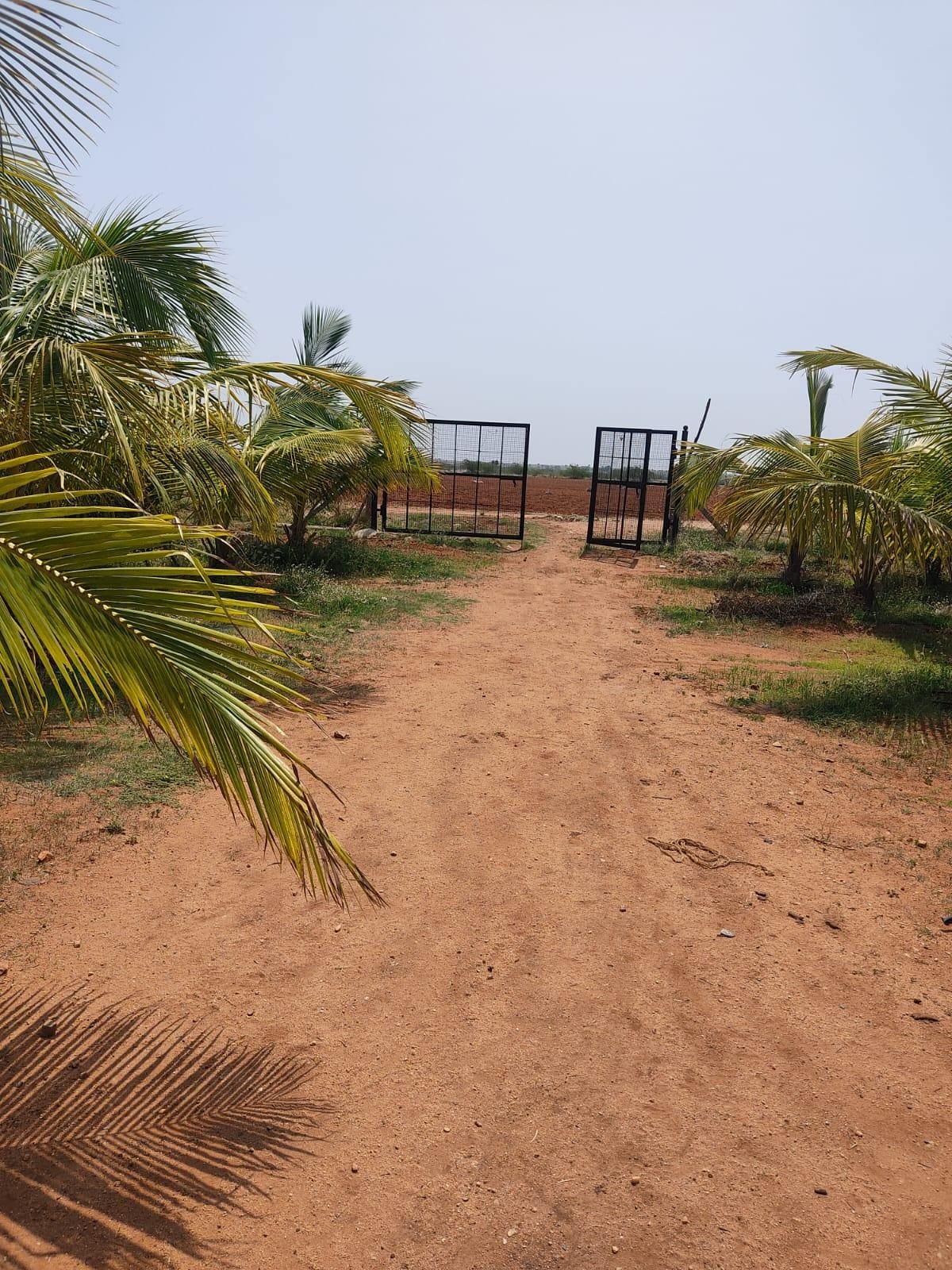 WhatsApp-Image-2023-05-19-at-10.52.08-AM