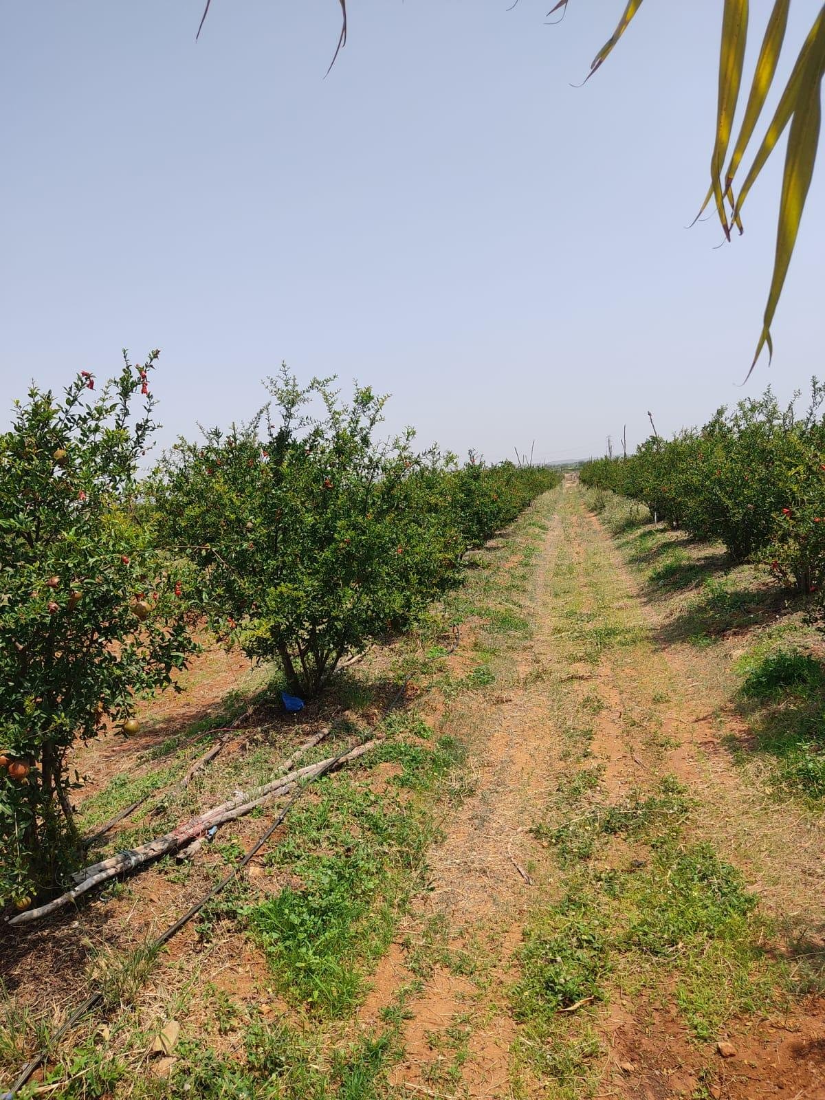 WhatsApp-Image-2023-05-19-at-10.52.09-AM