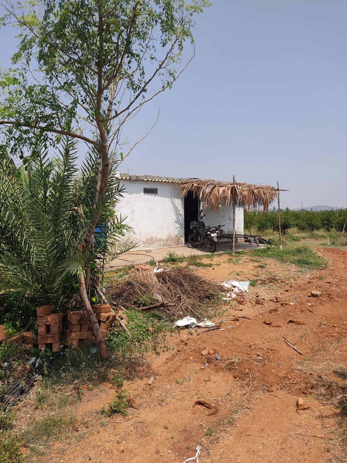 WhatsApp-Image-2023-05-19-at-10.52.11-AM