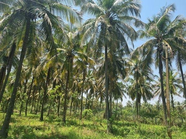 WhatsApp-Image-2023-05-20-at-10.37.22-AM