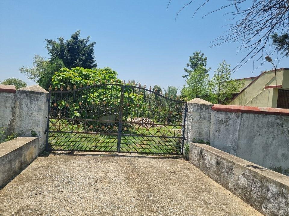 WhatsApp-Image-2023-05-20-at-10.37.23-AM-3