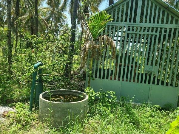 WhatsApp-Image-2023-05-20-at-10.37.23-AM