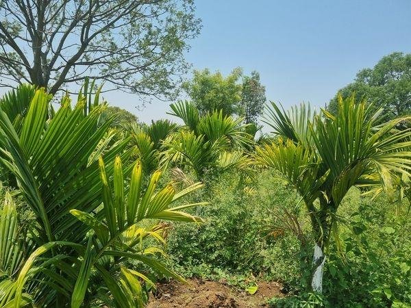 WhatsApp-Image-2023-05-20-at-10.40.15-AM-1