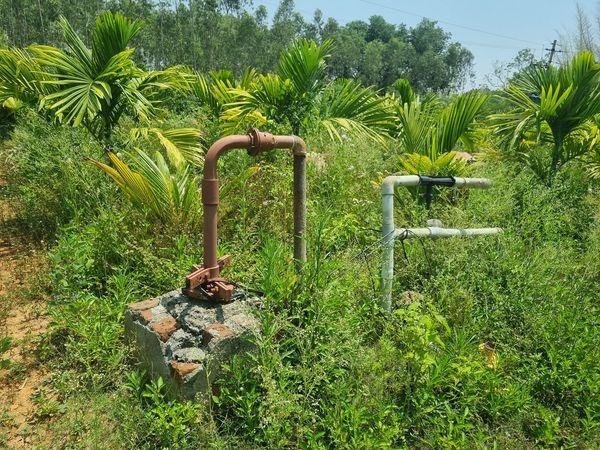 WhatsApp-Image-2023-05-20-at-10.40.15-AM