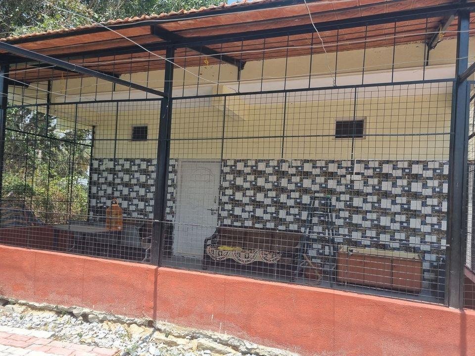 WhatsApp-Image-2023-05-20-at-10.40.16-AM-3