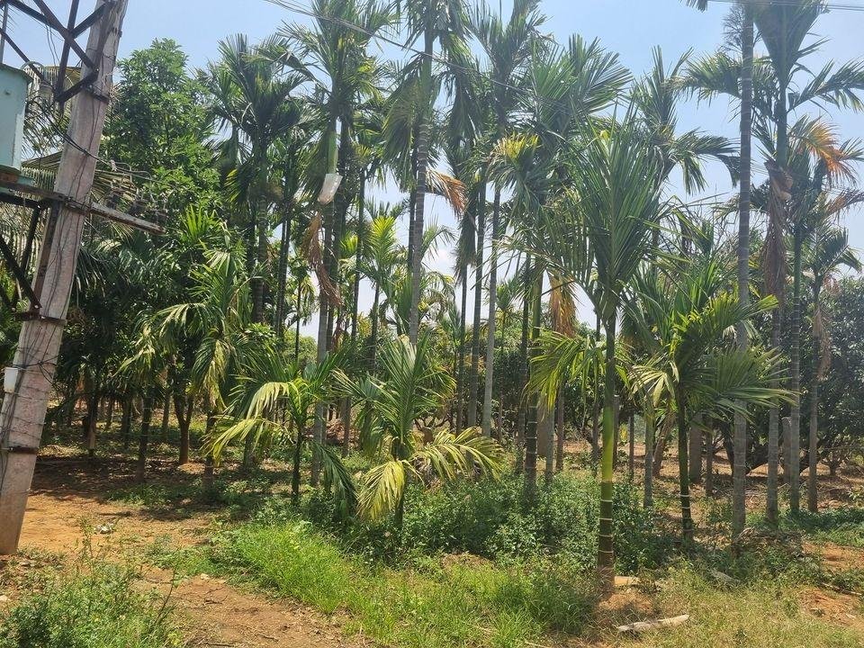 WhatsApp-Image-2023-05-20-at-10.43.13-AM-2