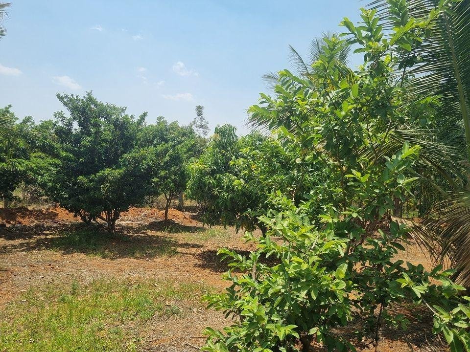 WhatsApp-Image-2023-05-20-at-10.43.13-AM