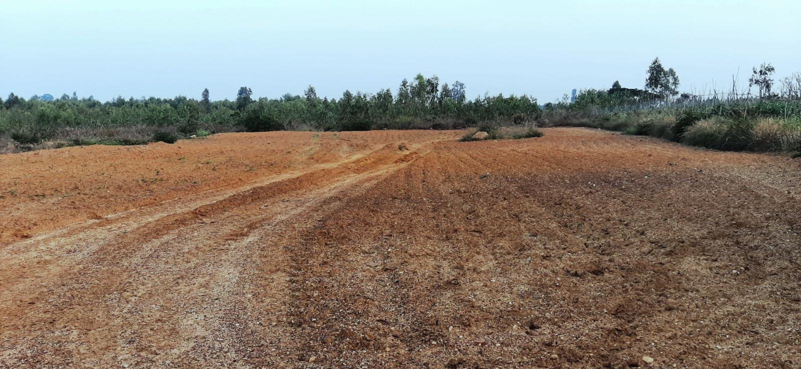 WhatsApp-Image-2023-05-20-at-11.07.22-AM-2