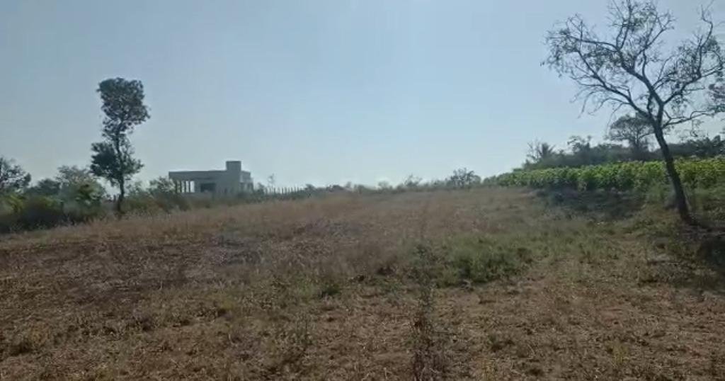 WhatsApp-Image-2023-05-20-at-4.43.20-PM