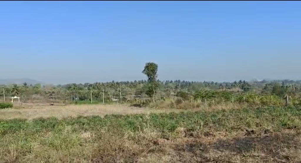 WhatsApp-Image-2023-05-20-at-4.46.11-PM