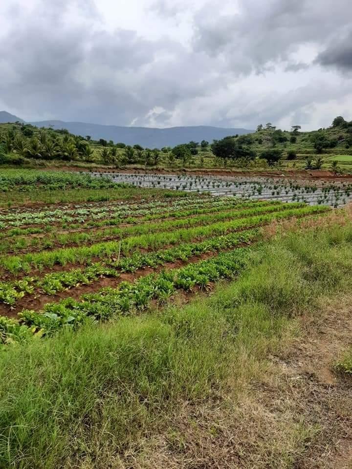 WhatsApp-Image-2023-05-21-at-8.31.13-PM