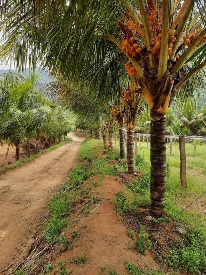 WhatsApp-Image-2023-05-21-at-8.31.15-PM