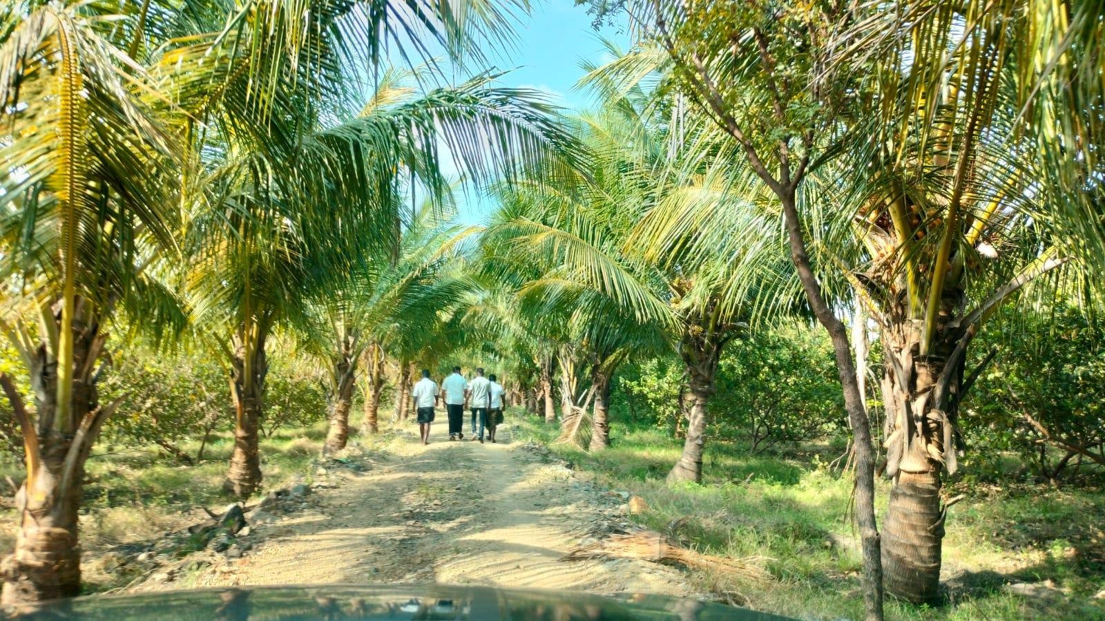 WhatsApp-Image-2023-05-21-at-8.42.23-PM