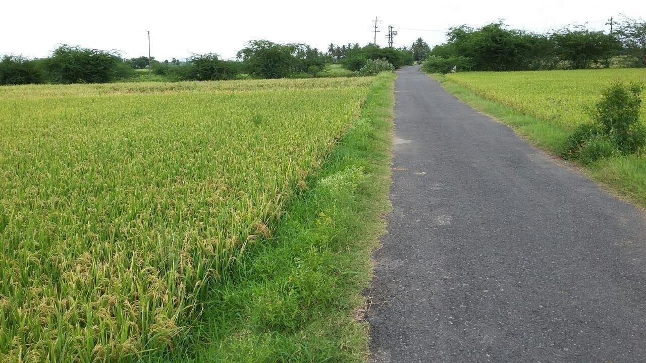 WhatsApp-Image-2023-05-22-at-12.08.02-PM