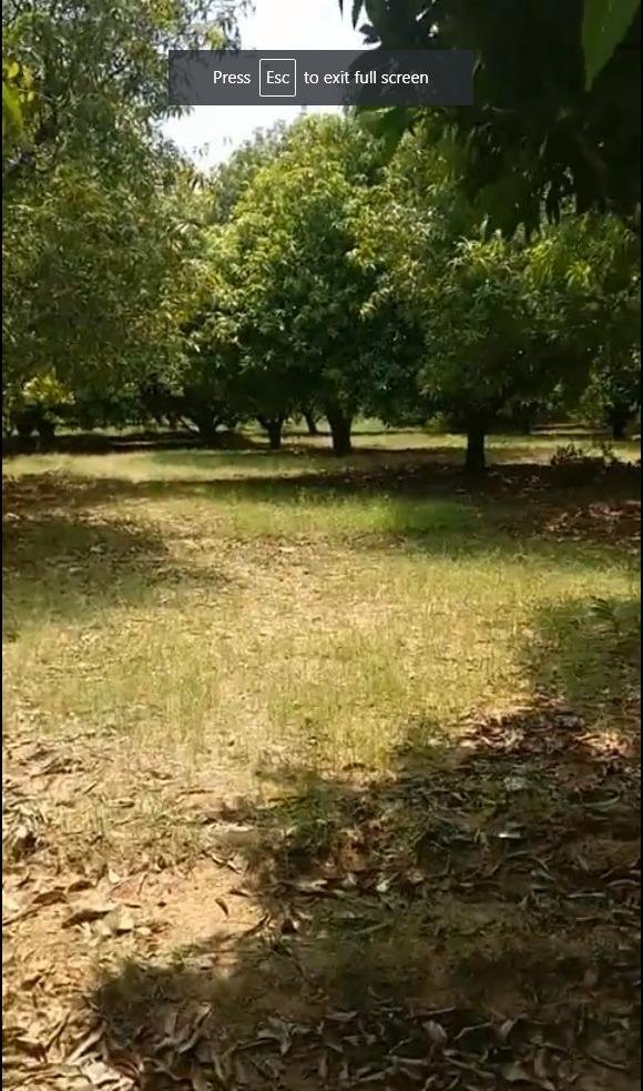 WhatsApp-Image-2023-05-29-at-2.59.33-PM