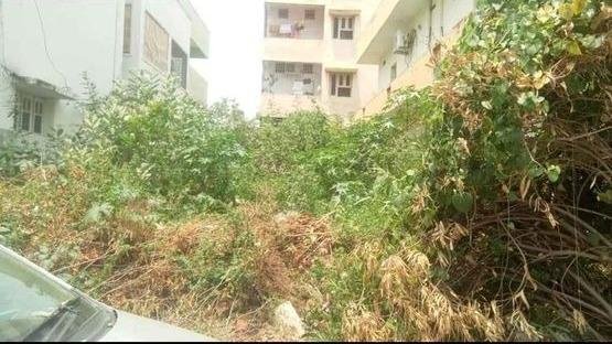 WhatsApp-Image-2023-05-29-at-3.58.22-PM