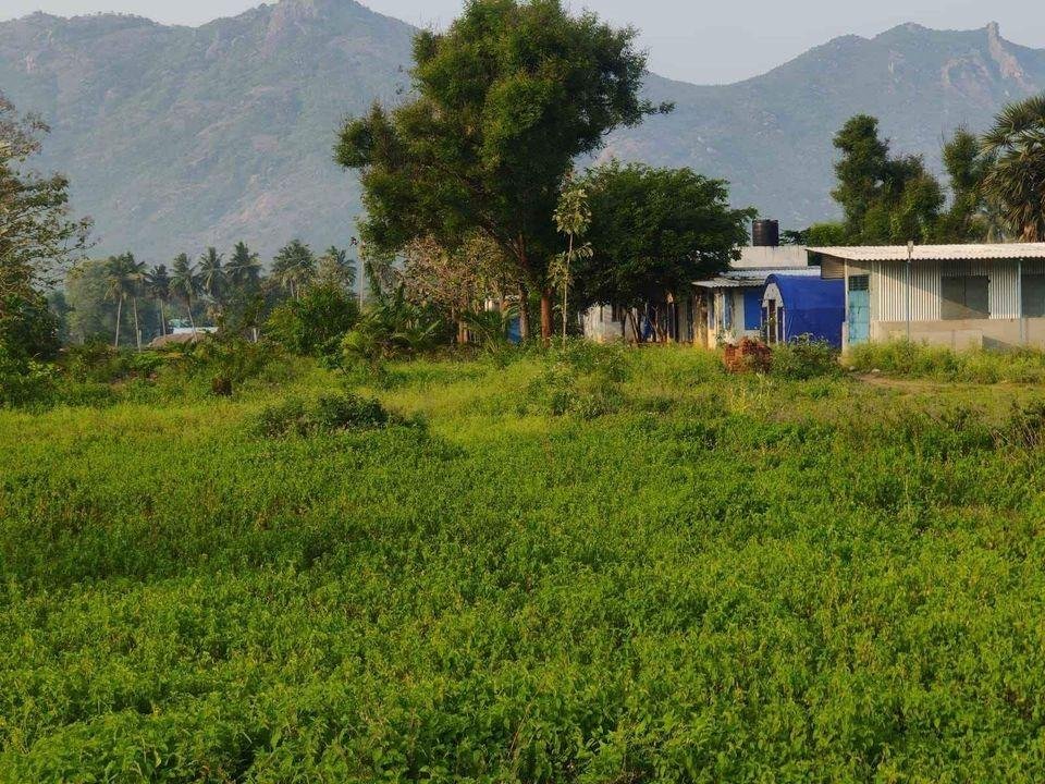 WhatsApp-Image-2023-05-29-at-4.01.06-PM