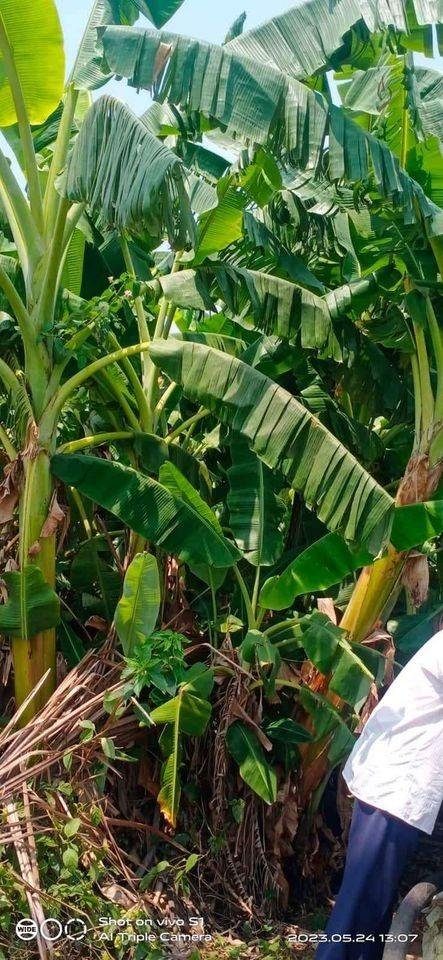 WhatsApp-Image-2023-05-29-at-4.04.08-PM-1