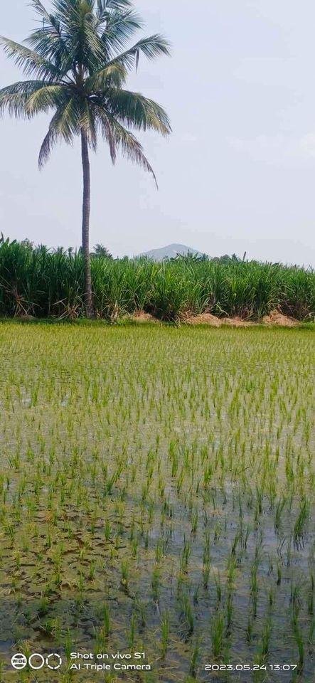 WhatsApp-Image-2023-05-29-at-4.04.08-PM-2