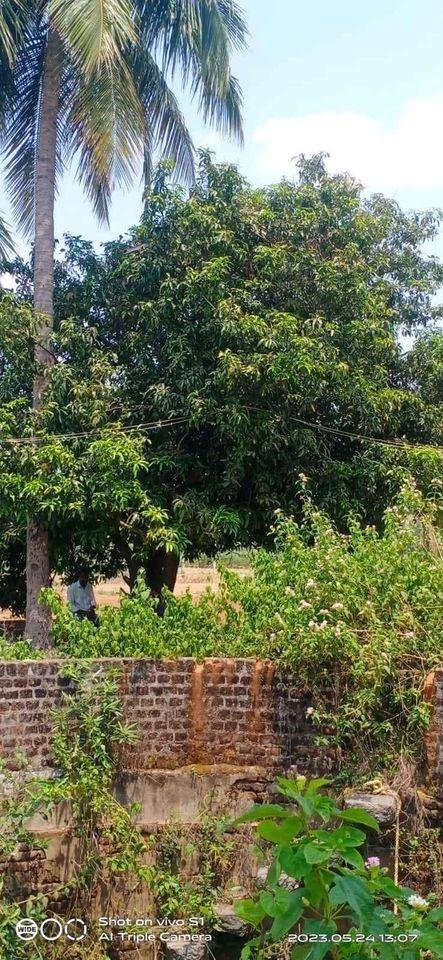 WhatsApp-Image-2023-05-29-at-4.04.08-PM-3