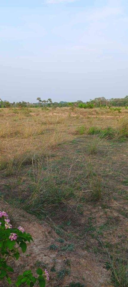 WhatsApp-Image-2023-05-29-at-4.06.27-PM