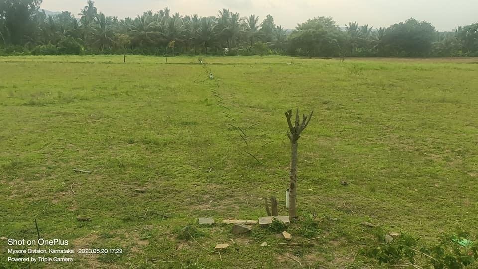 WhatsApp-Image-2023-05-30-at-11.08.03-AM-1