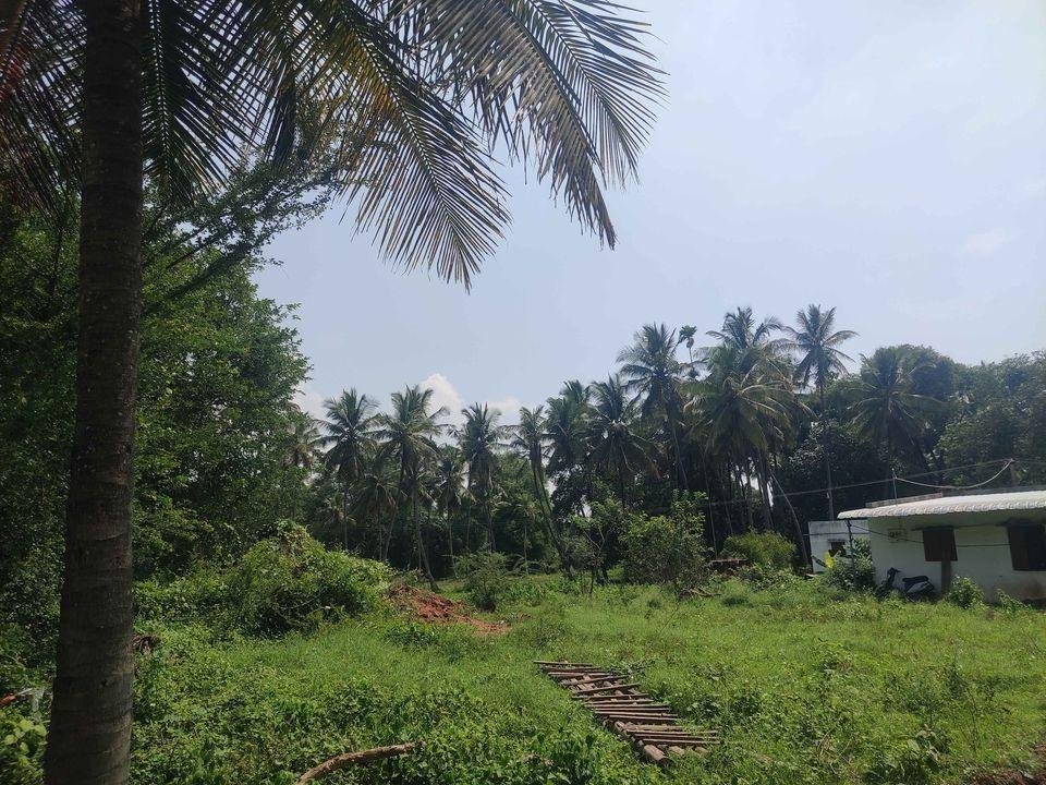 WhatsApp-Image-2023-05-30-at-4.30.42-PM