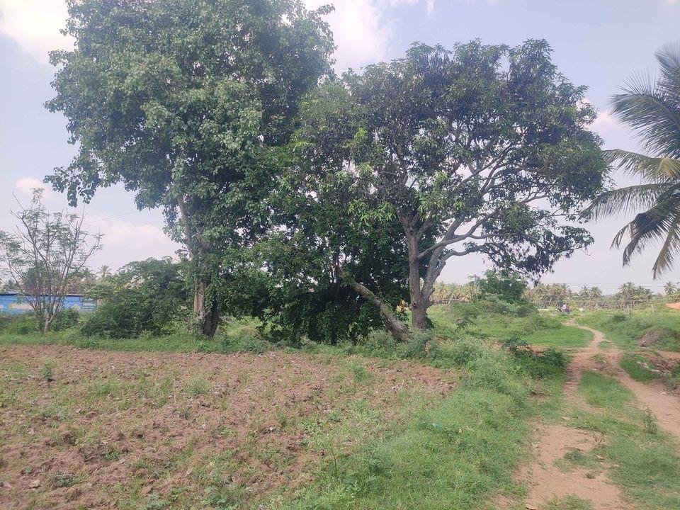 WhatsApp-Image-2023-05-30-at-4.30.43-PM-1