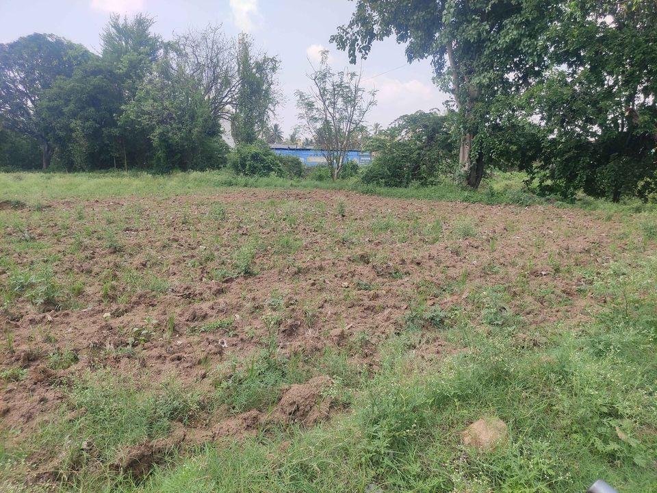 WhatsApp-Image-2023-05-30-at-4.30.43-PM