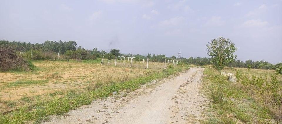 WhatsApp-Image-2023-05-30-at-4.45.14-PM