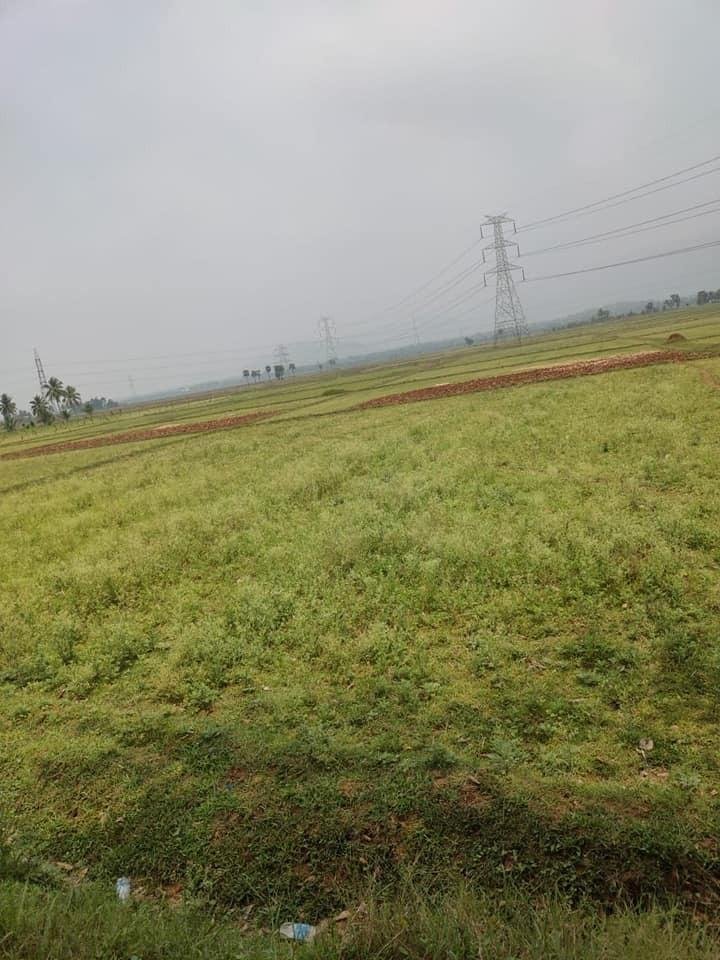 WhatsApp-Image-2023-05-31-at-11.23.17-AM-1