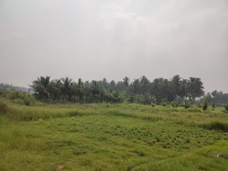 WhatsApp-Image-2023-05-31-at-11.23.17-AM-2