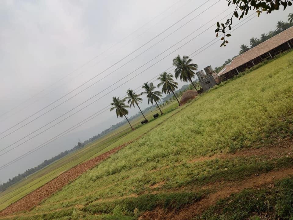 WhatsApp-Image-2023-05-31-at-11.23.17-AM